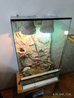 Predám terarium - 1