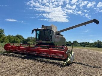 psenica jacmen raz ovos