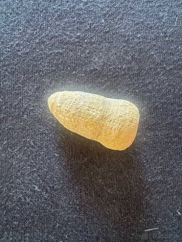 Skamenelina stonky praslicky