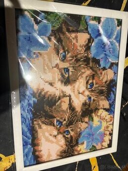 Mačičky obraz- diamond painting