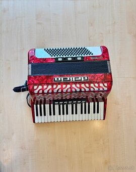 Delicia Carmen 23 96 bas