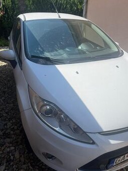 Ford Fiesta - 1
