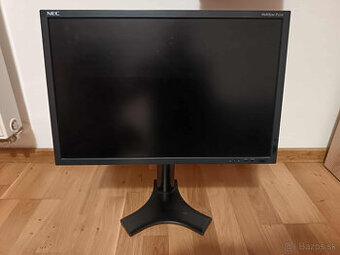 NEC Multisync P221W