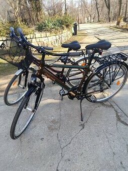 Dema pánsky a dámsky tour trek Bike