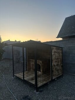 Voliéra pre psa