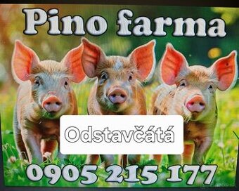 Odstavčata na predaj aktuálne