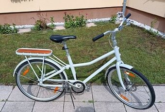 Bike Dynamax