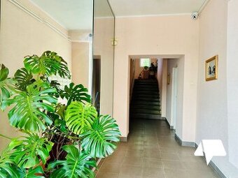 Prenájom kancelária – 22 m², Rybárska ulica, Nitra