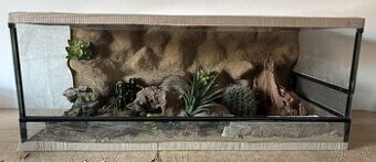 Terárium 100x50x40 s 3D stenou