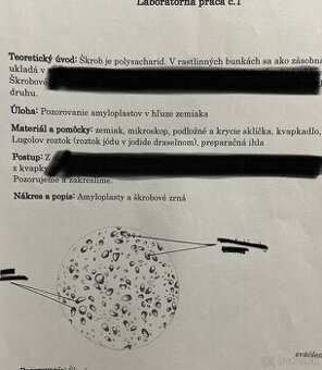 laboratórne práce z biológie