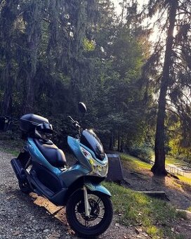 Honda PCX 2013