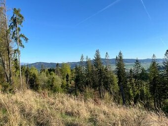 Pozemok