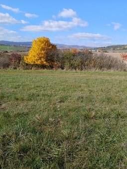 Pozemok v Demjate 7100m2 orná pôda