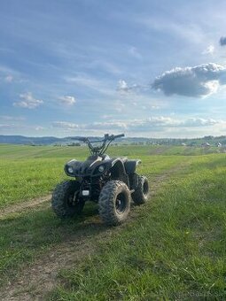 Atv 110