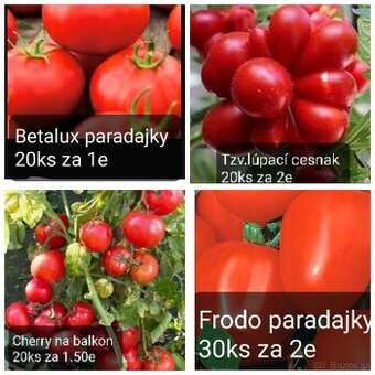Paradajky raritky