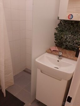 prenájmem byt 1 izba + kuchyňa, WC, kúpelna
