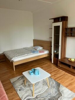 1 - izb zariadený byt , RUŽINOV