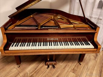 Nepremeškajte Najmenšie klavírne krídlo - 1