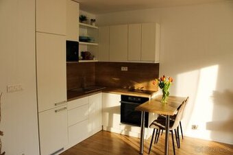 PRI PARKU : 1-izbový byt v novostavbe s parkovaním