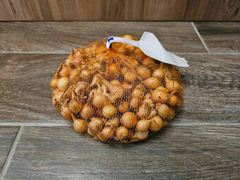 Cibuľa sadzačka Stuttgarter Riesen 500g