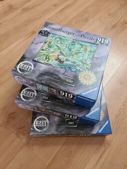 Exit puzzle Ravensburger circle