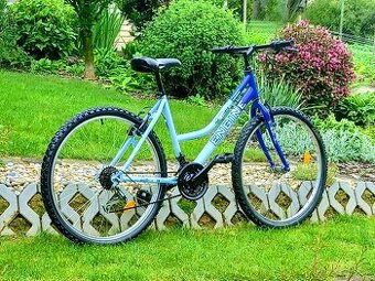 Bicykel Engine