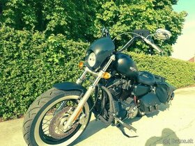 Harley Davidson XL1200 V