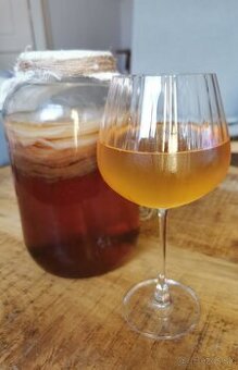 Kombucha