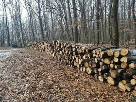 Palivové drevo metrovica dub, buk, cer