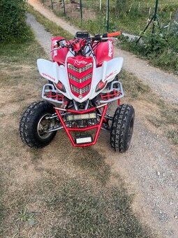 Yamaha Raptor 660 s TP - 1
