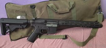 E&L M4 Platinum version AEG