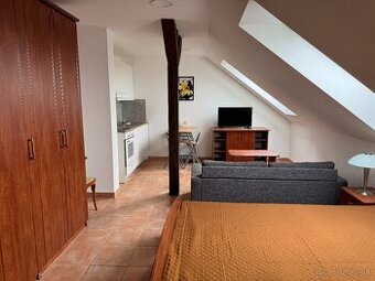 Podkrovný 1 izbový apartmán v centre