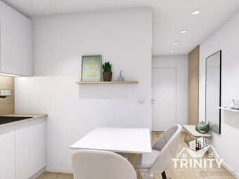 Na prenájom moderne zariadený luxusný 1-izbový byt v meste N