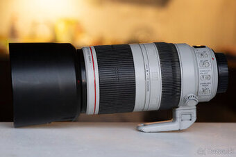 Canon EF 100-400mm f/4.5-5.6L IS II USM
