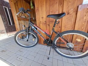 Dámsky bycikel - 1