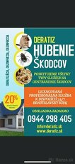 Deratizácia,dezinsekcia,dezinfekcia v Bratislave