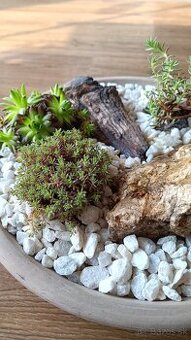 Okrasna mini skalka na balkon
