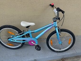 Specialized 20’