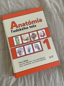 Anatómia ľudského tela 1, Mráz