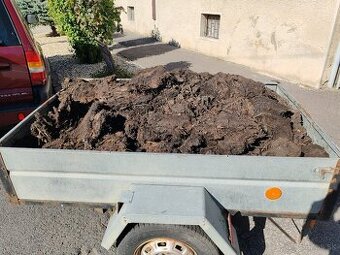 Maštalná hnoj z hov. dobytka