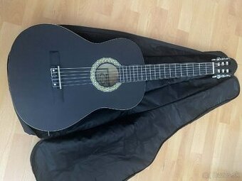 Gitara Sheffield s púzdrom