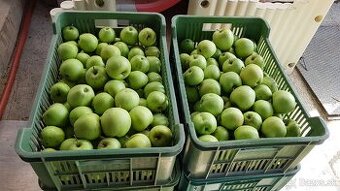 Predám jablka