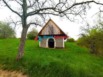 Predaj, viničný dom s pozemkom - Bátovce (N021-13-MAHA)