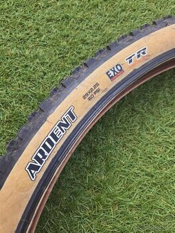 Maxxis Ardent