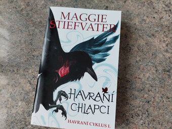 Havraní chlapci - Maggie Stiefvater