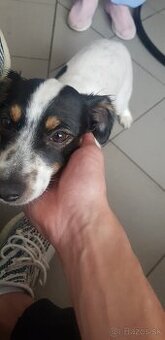 Darujem do dobrých ruk