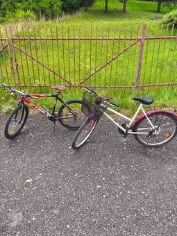 Pánsky, dámsky bicykel