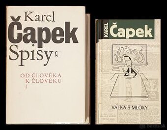 Ceska literatura