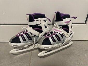 Predam ladove korcule.