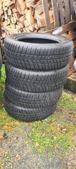 205/60 r16 zimne